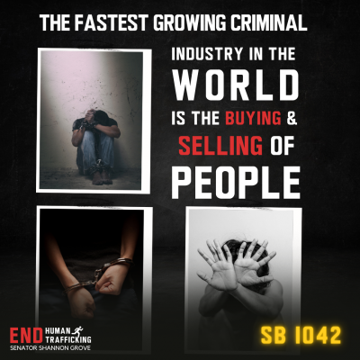 SB 1042