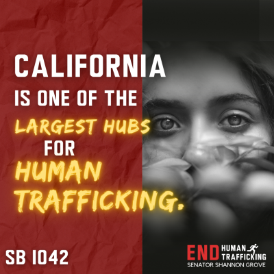 SB 1042